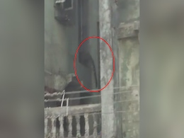 Panic As Leopard Attacks 3 In Residential Area Near Mumbai Panic As Leopard Attacks 3 In Residential Area Near Mumbai
