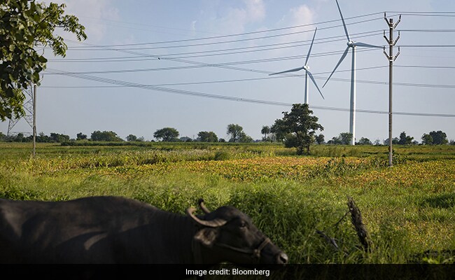 After A 10,000% Rally, This Indian Stock Plunges On Shaky Green Claims - Vimarsana News