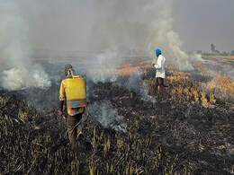 Farmers Blame Lack Of Disposal Options As Stubble Burning Continues Farmers Blame Lack Of Disposal Options As Stubble Burning Continues