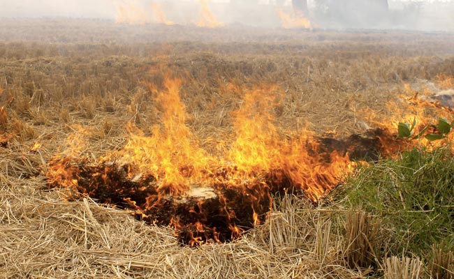 Haryana Unveils Policy To Eliminate Crop Residue, Curb Stubble Burning