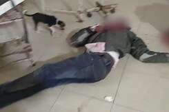 Patient, Bloodied, Lies On Floor, Dog Walks Around In UP Hospital Shocker Patient, Bloodied, Lies On Floor, Dog Walks Around In UP Hospital Shocker