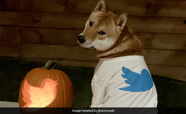 Elon Musk's Tribute To Twitter On Halloween