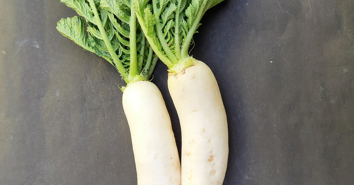 7 Amazing Health Benefits Of Radish