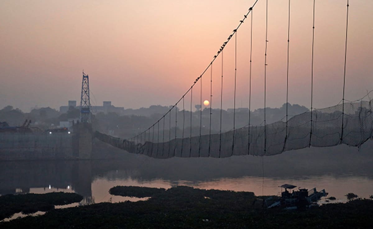 Industrialist Out On Bail In Gujarat Bridge Collapse Case Felicitated