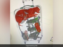 US Airport Security Finds Live Cat Curled Up Inside Passenger's Suitcase US Airport Security Finds Live Cat Curled Up Inside Passenger's Suitcase