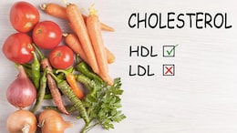 5 Expert-Recommended Food Options To Boost Good Cholesterol Levels