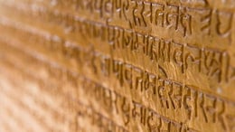 University Body Releases List Of Master Trainers In Indian Knowledge Systems