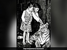 बहन के साथ बाघ को छू रहे इस बच्चे के ‘ढाई किलो के हाथ’ से डर जाते थे गुंडे, बदमाश, पहचाना नाम तो कहलाएंगे सिकंदर बहन के साथ बाघ को छू रहे इस बच्चे के ‘ढाई किलो के हाथ’ से डर जाते थे गुंडे, बदमाश, पहचाना नाम तो कहलाएंगे सिकंदर