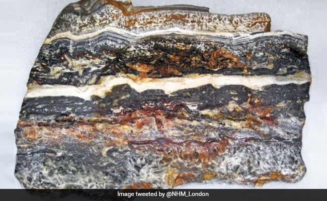 Australian Rocks May Hold Clues For Mission Searching For Life On Mars