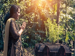 कार्तिक पूर्णिमा के दिन Tulsi के पौधे की मिट्टी से करें ये काम, सौभाग्य की होगी प्राप्ति ! कार्तिक पूर्णिमा के दिन Tulsi के पौधे की मिट्टी से करें ये काम, सौभाग्य की होगी प्राप्ति !