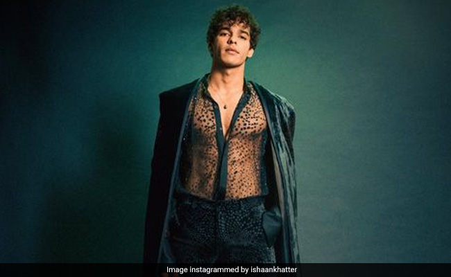 Is Ishaan Khatter Slytherin-Ready? Mira Rajput And Others Provide Answers