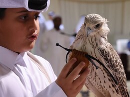 FIFA World Cup 2022: Falconers Hope To Draw Fans To Qatar Heritage FIFA World Cup 2022: Falconers Hope To Draw Fans To Qatar Heritage