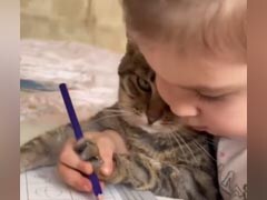 Video:बच्ची ने बिल्ली के पंजों में फंसा दी कलरफुल पेंसिल, एक्सप्रेशन देख कंट्रोल नहीं कर पाएंगे हंसी Video:बच्ची ने बिल्ली के पंजों में फंसा दी कलरफुल पेंसिल, एक्सप्रेशन देख कंट्रोल नहीं कर पाएंगे हंसी