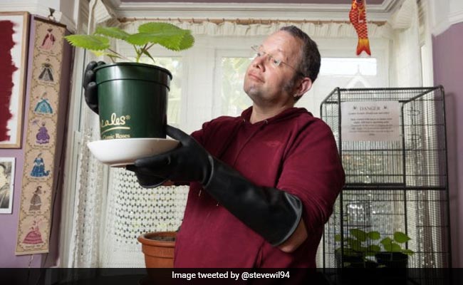 Man Grows "Worlds Most Dangerous Plant" At Home Out Of Boredom