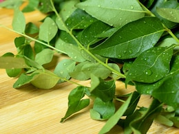 बालों को सफेद होने से रोकने के लिए इस तरह करें करी पत्तों का सेवन, जानिए Curry Leaves के फायदे बालों को सफेद होने से रोकने के लिए इस तरह करें करी पत्तों का सेवन, जानिए Curry Leaves के फायदे