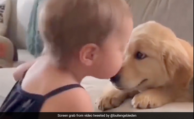 Adorable Video Of Toddler Showering Dog With Kisses Will Melt Your Heart