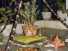 Tulsi Vivah 2022: तुलसी विवाह पर जरूर करें ये खास उपाय, मिलेगा मां लक्ष्मी का आशीर्वाद, शादीशुदा जिंदगी रहेगी खुशहाल ! Tulsi Vivah 2022: तुलसी विवाह पर जरूर करें ये खास उपाय, मिलेगा मां लक्ष्मी का आशीर्वाद, शादीशुदा जिंदगी रहेगी खुशहाल !
