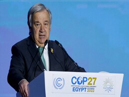 "Catastrophe Getting Worse...": UN Chief Pushes For Gaza Truce To Become Full Ceasefire "Catastrophe Getting Worse...": UN Chief Pushes For Gaza Truce To Become Full Ceasefire
