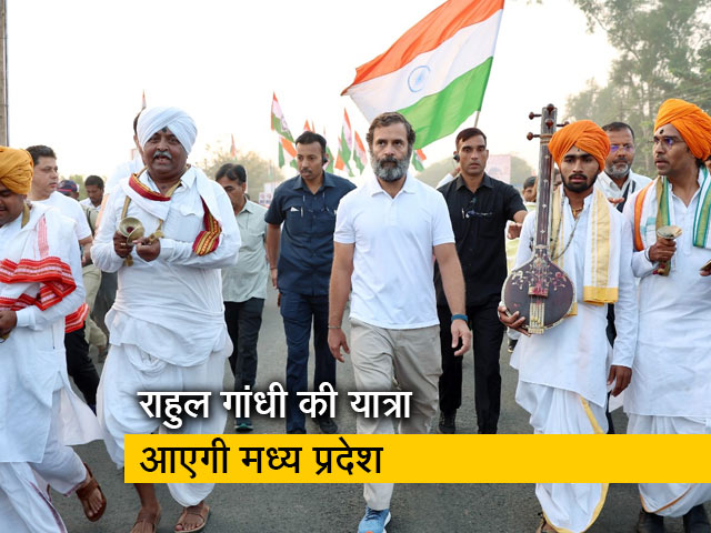 राहुल गांधी की यात्रा 20 नवंबर को पहुंचेगी MP, ऑपरेशन लोटस की तैयारियों में जुटी BJP!  