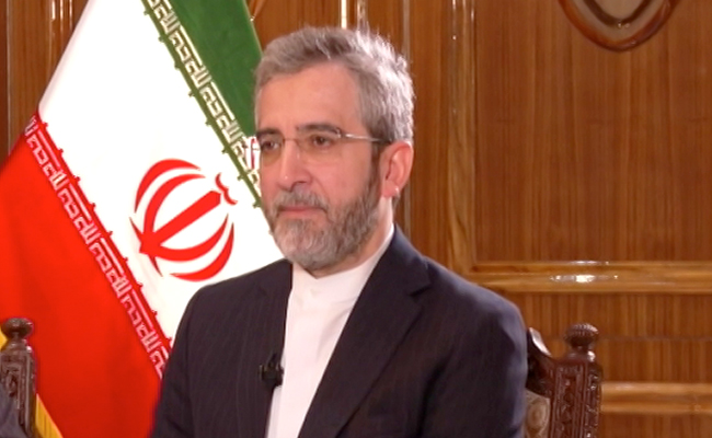 "Foreign Powers' Fallacious Narratives": Iran Minister To NDTV On Protests