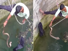 VIDEO:कुएं में फंसे किंग कोबरा के लिए मसीहा बना शख्स, खुद की जान जोखिम में डालकर ऐसे बचाई 'नागराज' की जान VIDEO:कुएं में फंसे किंग कोबरा के लिए मसीहा बना शख्स, खुद की जान जोखिम में डालकर ऐसे बचाई 'नागराज' की जान