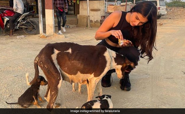 Inside Tara Sutaria's Jaisalmer Diaries. See Pics