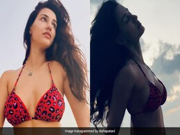Disha Patani In An Animal Print Swimsuit Is Making Even The Beach Her Own Personal Runway Disha Patani In An Animal Print Swimsuit Is Making Even The Beach Her Own Personal Runway