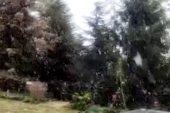 Himachal Town Receives Fresh Snowfall Himachal Town Receives Fresh Snowfall