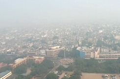 Surviving Delhi's Toxic Air Surviving Delhi's Toxic Air