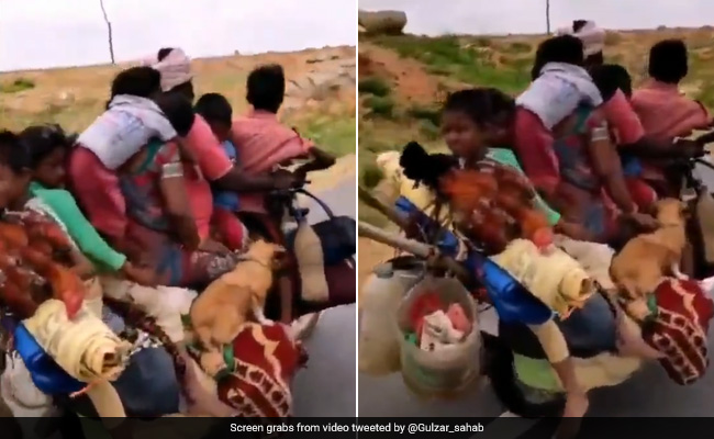 बाइक पर सवार थे 6 लोग, 2 कुत्ते और 2 मुर्गियां, लोग बोले- देख रहा है बिनोद...कैसे खतरों से खेल रहा है