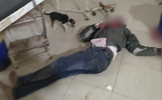 यूपी : सरकारी अस्पताल के फर्श पर पड़ा खून से लथपथ मरीज, इमरजेंसी वार्ड में टहल रहे कुत्ते, VIDEO वायरल