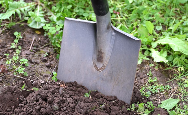 Scotland Plumber Finds 135-Year-Old Letter In A Bottle Under Floorboards