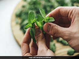 High Uric Acid: बढ़ी हुई मात्रा को शरीर से बाहर निकालने में कारगर हैं ये हरी पत्तियां, स्वाद भी लाजवाब, यूं करें इस्तेमाल High Uric Acid: बढ़ी हुई मात्रा को शरीर से बाहर निकालने में कारगर हैं ये हरी पत्तियां, स्वाद भी लाजवाब, यूं करें इस्तेमाल