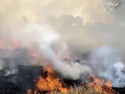 Action On Ground Must Match Targets: Pollution Body On Punjab Stubble Burning