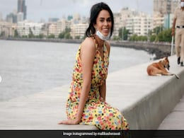 जब कोरोना काल में मरीन ड्राइव पहुंच गई थीं मल्लिका शेरावत, आ गई थी पुलिस, तस्वीरों में देखें फिर क्या हुआ जब कोरोना काल में मरीन ड्राइव पहुंच गई थीं मल्लिका शेरावत, आ गई थी पुलिस, तस्वीरों में देखें फिर क्या हुआ