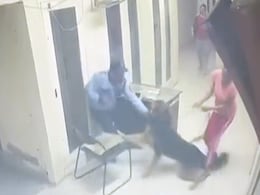 Video: Pet Dog Bites Security Guard In Greater Noida Housing Society Video: Pet Dog Bites Security Guard In Greater Noida Housing Society