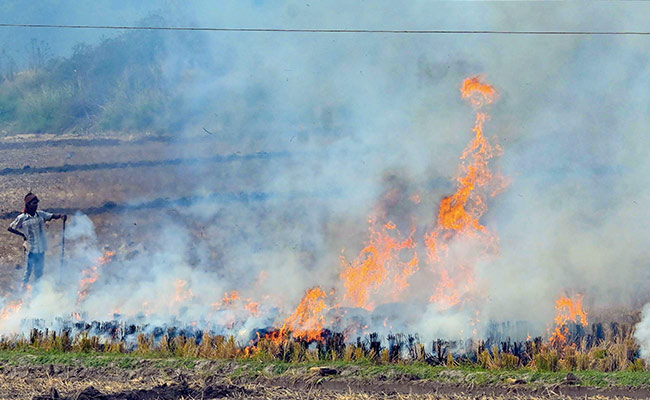 Significant Drop In Farm Fires In Punjab, Haryana This Year: Centre's Panel