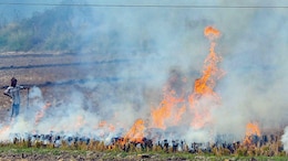 Punjab Prepares Rs 500-Crore Action Plan To Check Stubble Burning
