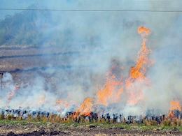Punjab Prepares Rs 500-Crore Action Plan To Check Stubble Burning