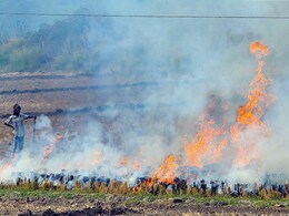 दिल्ली में बिगड़ी एयर की क्वॉलिटी, NASA ने शेयर किया पंजाब में पराली जलाने का लेटेस्ट ट्रेंड