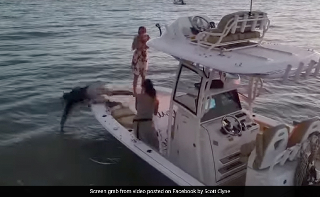 Watch: Man Jumps Into Ocean After Ring Falls In During Proposal