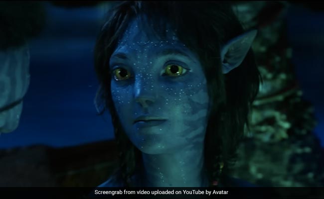 <i>Avatar: The Way Of Water</i> Producer Has A Message For Indian Fans - "I See You"