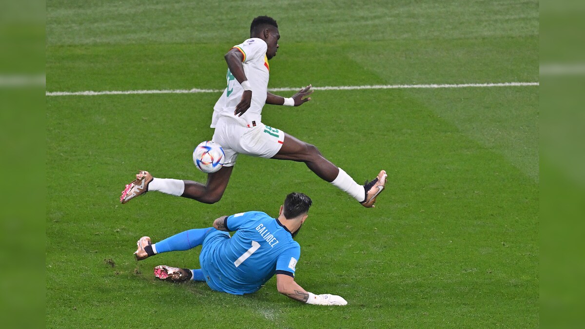 FIFA World Cup 2022 Netherlands vs Qatar, Ecuador vs Senegal Group A Live Score: Netherlands, Senegal Take 1-0 Leads Into Half-time FIFA World Cup 2022 Netherlands vs Qatar, Ecuador vs Senegal Group A Live Score: Netherlands, Senegal Take 1-0 Leads Into Half-time