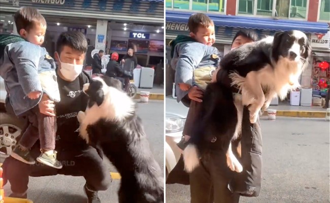 शख्स ने बच्चे को लिया गोद तो कुत्ते ने भी ज़िद्द कर दी, वीडियो देख कहेंगे- जानवरों में भी जलन होती है