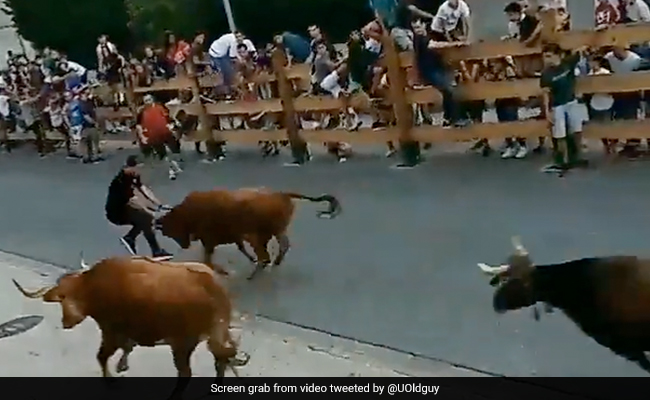 Watch: Man Dodges Injury Several Times In A Bull Run, Internet Says "Someone's Lucky Day"