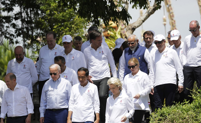 Russia-Ukraine War Hurting Global Economy: G20 Leaders