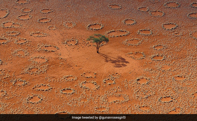 Study Offers Fresh Take On What Caused "Fairy Circles" In Namib Desert