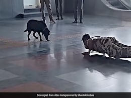 Viral Video: Dog Imitates CISF Jawan's Workout At Delhi's Metro Station Viral Video: Dog Imitates CISF Jawan's Workout At Delhi's Metro Station