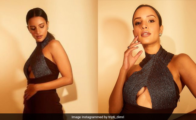 Tripti Dimri's Chocolate Brown Halter Dress Is Taking Glitzy Autumn Fashion Up Many Notches