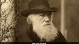 Darwin Archives, Geneva Conventions Now In UNESCO's Memory Of World Register